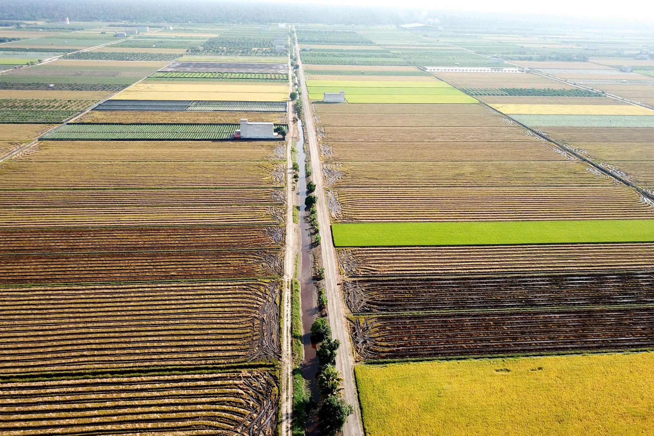 Agriculture GIS aerial field mapping